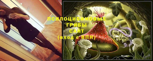 скорость Алексин