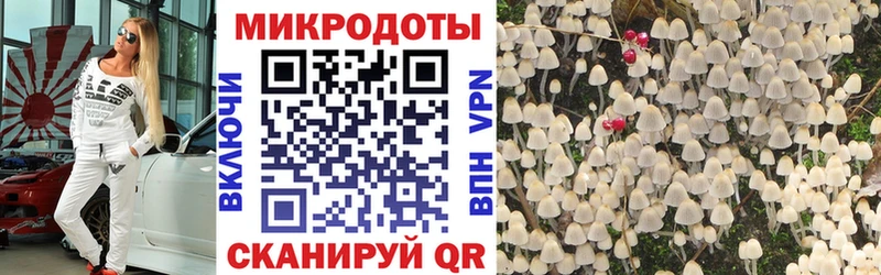 Галлюциногенные грибы Psilocybine cubensis  как найти закладки  Чайковский 
